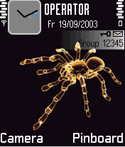 Spider, Perspective Life theme. Price-, Feeling+ !!!