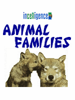 Animal Families