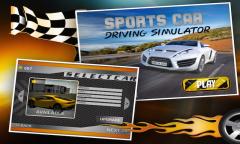 Sports Car Driving Simulator