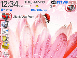 8300 Blackberry ZEN Theme: Spring Ladybug
