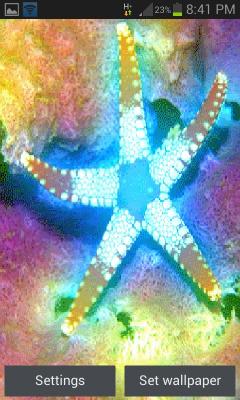 Star Light Fish LWP
