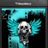 Grunge Skull Wings/ icons pack