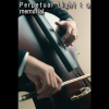 Perpetual Light : a memorial (ebook)