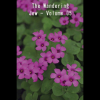 The Wandering Jew Volume 05 (ebook)