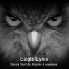 EagleEyes(Lite+)