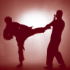 Mixed Martial Arts (for os6)