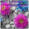 Blue_Purple Dahlia Theme