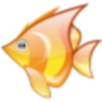 Transformer Fish