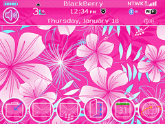 8520 Blackberry ZEN Theme: Tropical Splash