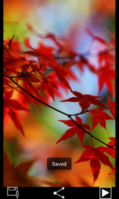 Watsapp Autumn Wallpaper