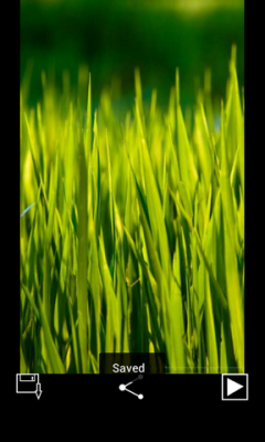 WatsApp Grass Wallpapers