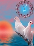 white doves