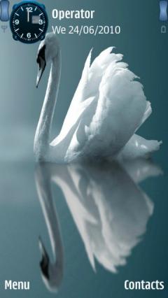 White Swan