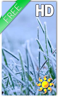 Winter Grass Live Wallpaper