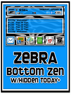 Zebra in Blue Bottom Zen w/Hidden Today+ 9000/Bold Theme